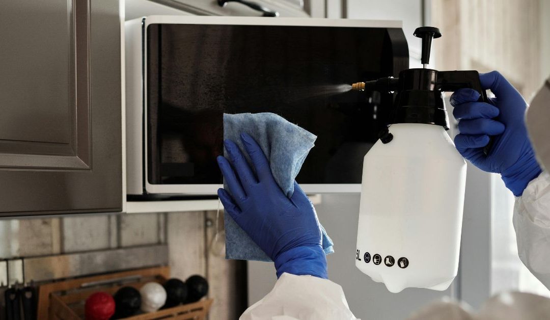 Keeping Your Property Pest-Free: Proactive Strategies for Pest Control in Homes and Businesses