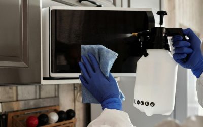 Keeping Your Property Pest-Free: Proactive Strategies for Pest Control in Homes and Businesses