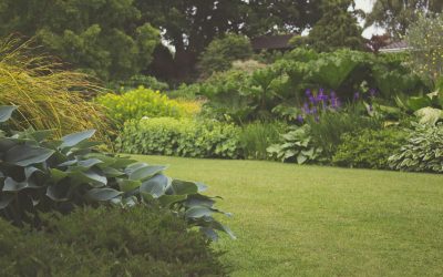 Your Landscaping and Gardening Paradise